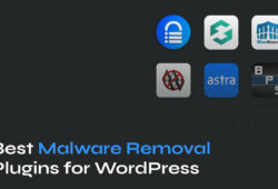 Best WordPress Malware Scanner Plugins