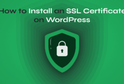 How to install an SSL certificate on WordPress