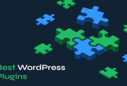 Must-Have WordPress Plugins