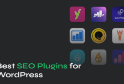 WordPress SEO Plugins