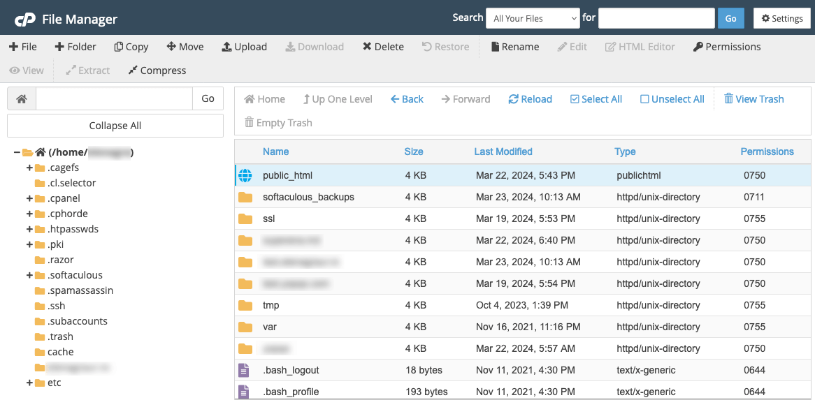 cPanel Files