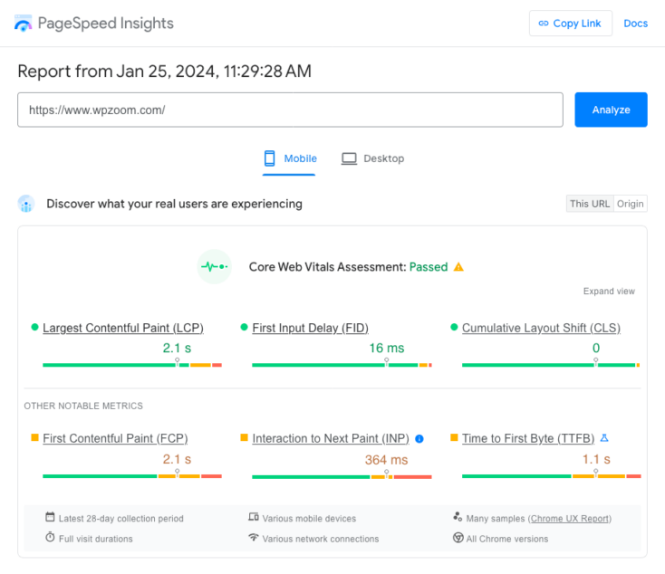 Page Speed Insights results