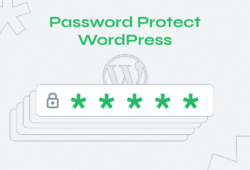 Password Protect WordPress