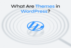 What is a WordPress Theme