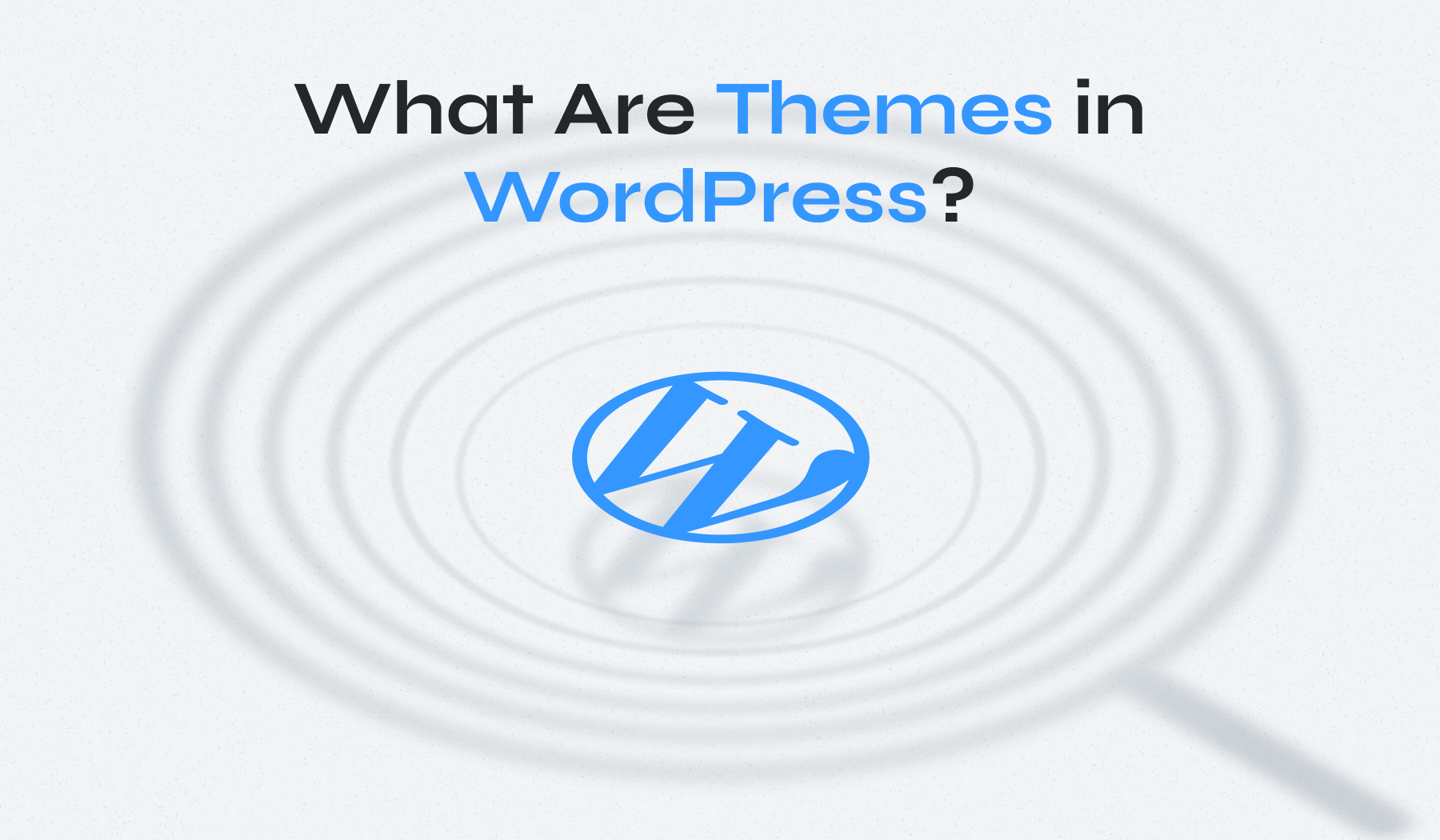 What is a WordPress Theme