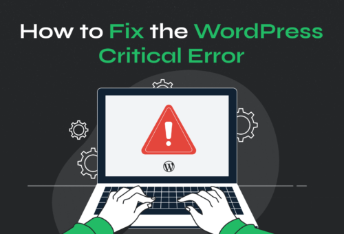 There has been a critical error on your website