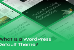 WordPress Default Theme