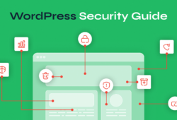 Secure Your WordPress Site